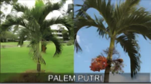 Pembuatan Taman Pondok Aren