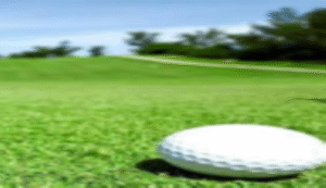 Jual Rumput golf murah