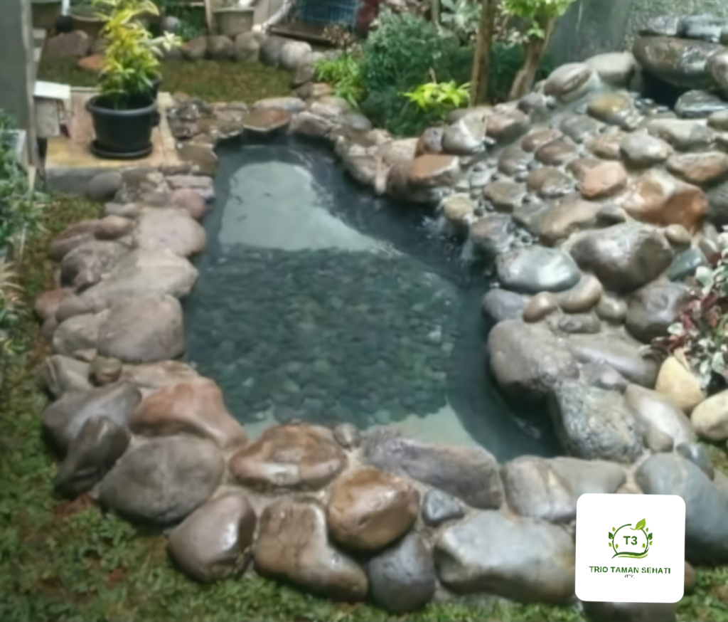 Jasa Pembuatan Kolam Ikan Koi Murah