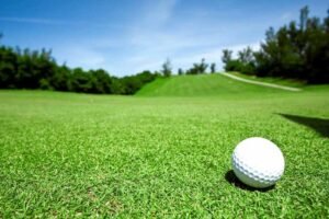 Jual Rumput Golf Murah