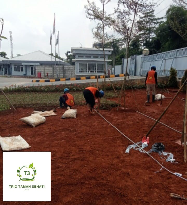 Jasa Pembuatan Taman di Lawanggintung