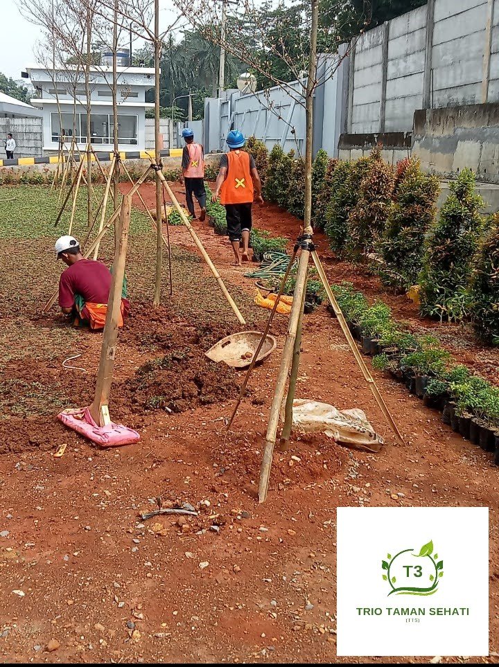 Jasa Pembuatan Taman Ciracas