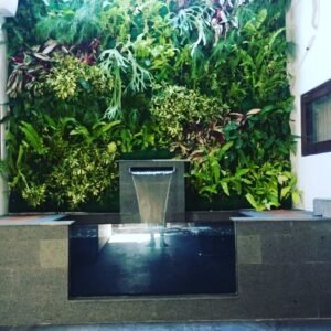 Jasa Pembuatan Kolam Ikan Kebon Jeruk Terbaik