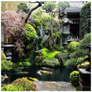 Jasa Pembuatan Taman Jepang